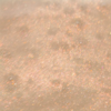 Red Pearl Dye